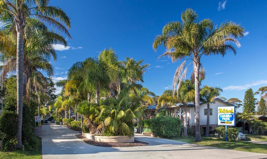 Mollymook Caravan Park Dış mekan fotoğraf